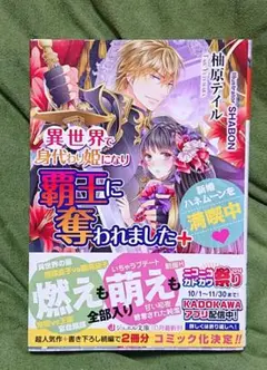TL 異世界で身代わり姫になり覇王に奪われました +新婚ハネムーンを満喫中