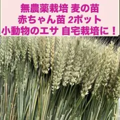 Item thumbnail for item dc3d17b8-2492-4c7d-9260-d0e36917da20