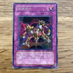 遊戯王 連鎖除外 字レア １枚