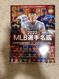 2022 MLB選手名鑑