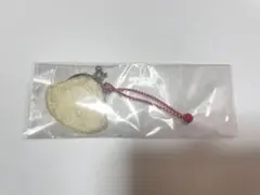 新品未使用保管品菊もみゴールド