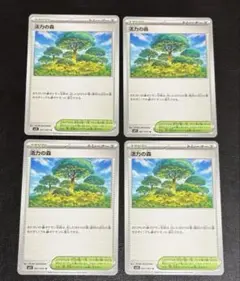 活力の森 4枚