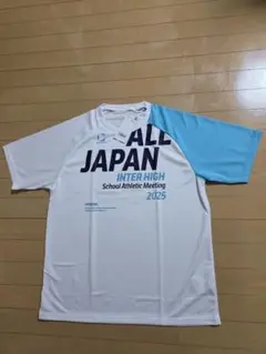 Item thumbnail for item 87c8f4cb-a523-4a28-b8b9-ec9a0d891b14