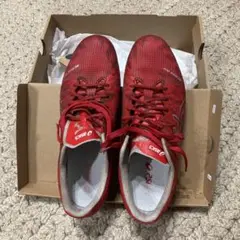 専用　ASICS DS LIGHT スパイクシューズ レッド　29センチ