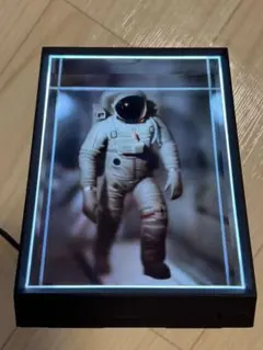 Looking Glass Portrait
