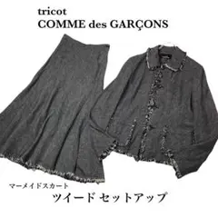 tricot COMME des GARÇONS ジャケット セットアップ