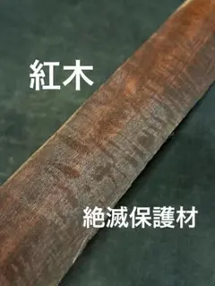 Item thumbnail for item 0da20469-eeab-4f9f-b087-08cc7345a3b4