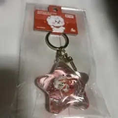 BT21 アクリルグリッター キーホルダー ジン RJ 新品 キーリング BTS