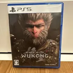 BLACK MYTH WUKONG PS5 黒神話 悟空