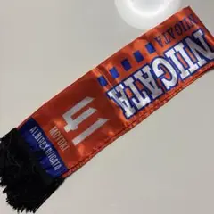 アルビレックス新潟　プレーヤーズミニスカーフ　長谷川元希　14