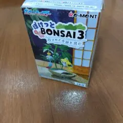 ぽけっとBONSAI3 移りゆく季節と共に ドダイトス