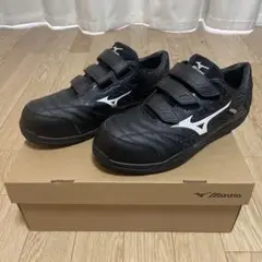 Item thumbnail for item eb8857db-70b1-411c-8e0b-35ae9f0ea84e