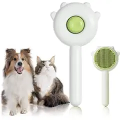 Item thumbnail for item c502b983-22ba-4515-bf6a-35c363048823