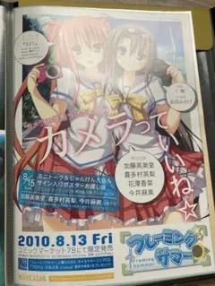 フレーミングサマー　販促ポスター