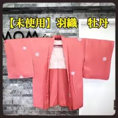 Item thumbnail for item bef895d2-5863-4884-aed6-8558249c17ca