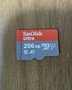 SanDiskマイクロSDカード 256GB