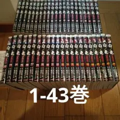 白竜 (HADOU) 全巻セット 1-43巻　天王寺大　渡辺みちお　日本芸文社