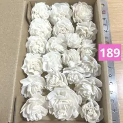 ソラフラワー　189