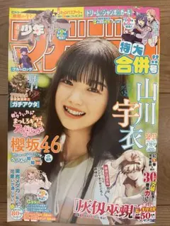 週刊少年マガジン　2025年36.37号　切り抜きなし