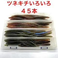 常吉ネコリグワームだと思います♪ 常吉ネコリグワームだと思います♪