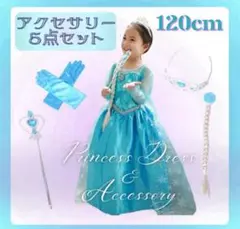 プリンセスドレス 5点セット 120cm