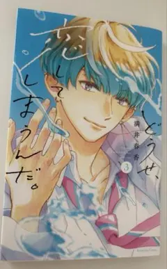 どうせ、恋してしまうんだ。 3