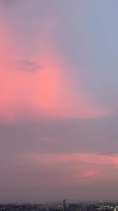 オーダー用ですご確認お願い致します。