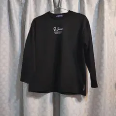 Item thumbnail for item 9c074a41-362a-4823-b431-f64e82b8a892