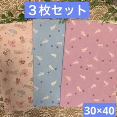 ３枚組★ランチョンマット★給食ナフキン★うさぎ＆バレエ