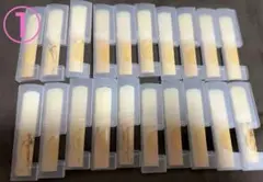 Item thumbnail for item 2d06bdc2-00cc-4563-9c63-00219b4238bd