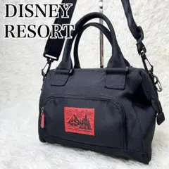 美品 DISNEY RESORT ハンドバッグ ショルダーバッグ 2way