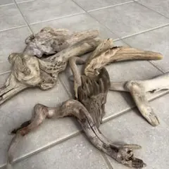 Item thumbnail for item 0d048a44-e222-4581-9840-d84337f3c2d2