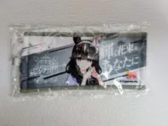 公式ミニ応援タオルキーホルダー