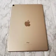 186 iPad Pro 10.5インチ 256GB Wi-Fi ゴールド