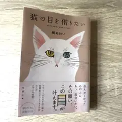 猫の目を借りたい
