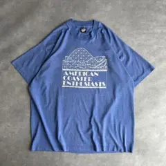 90s フルーツオブザルーム プリントTシャツ USA製 シングルステッチ