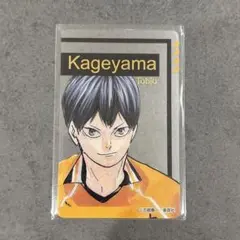 ハイキュー ファンパーク 箔押しクリアカードコレクション 影山飛雄
