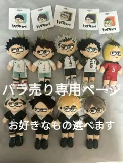 ハイキュー ジロリ ぬいぐるみ 岩泉一 及川徹 ハイキュー!! ジロリ 及川徹 岩泉一 - メルカリ