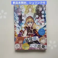 ある日、お姫様になってしまった件について 11