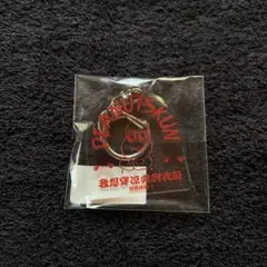 ピーナッツくん アクキー SPINNSコラボ