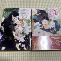 BL小説 2冊 まとめ売り