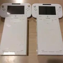 Item thumbnail for item d478bf45-174b-4264-9fa7-785ac885598e