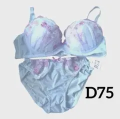 【新品未使用】D75 白鳩ワクドキ ブラ＆ショーツ
