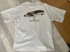 L.L.Bean BEAMS Print-T 犬　L