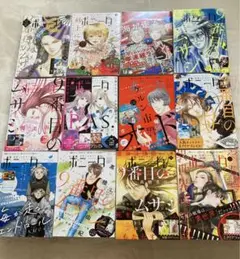 美品♡ミステリーボニータ♡2023年1月〜12月♡12冊セット♡一部付録あり