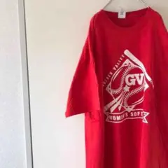 USA購入 golden valley オーバーサイズ Tシャツ
