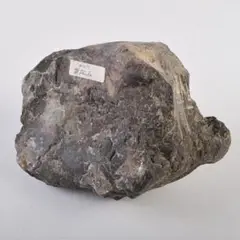 Item thumbnail for item 13223223-9fa8-439c-b387-4dec7368540b