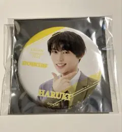 EBiDAN museum 2025 缶バッジ HARUKI