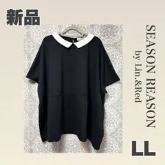 ❤️新品【LL】SEASON REASON 襟付きカットソー