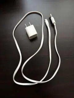 USB充電器とLightningケーブルセット